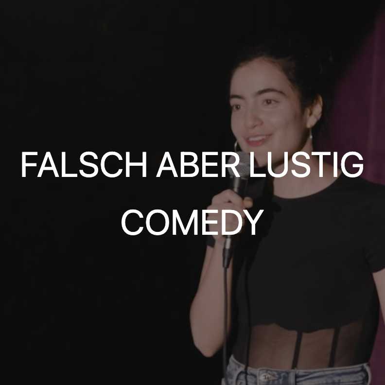 Vorschaubild zur Comedy Serie "Falsch, aber Lustig" mit Ana Lucia